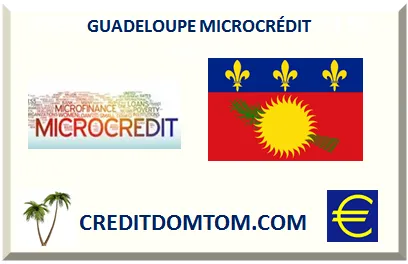 Microcrédit et prêts d’honneur dans les DOM-TOM, guide pratique