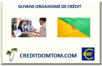 Quelle banque choisir en Guyane ? Panorama des établissements
