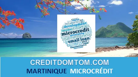 Un petit prêt accompagné pour démarrer un projet en Martinique