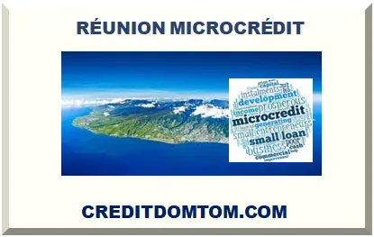 Guide du microcrédit dans le 974 : organismes accrédités et démarches