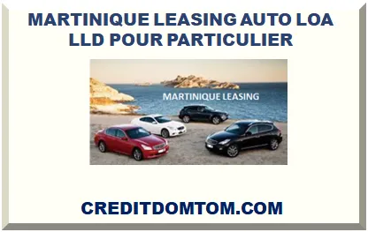 MARTINIQUE LEASING AUTO LOA LLD POUR PARTICULIER 2025